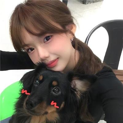 白狐